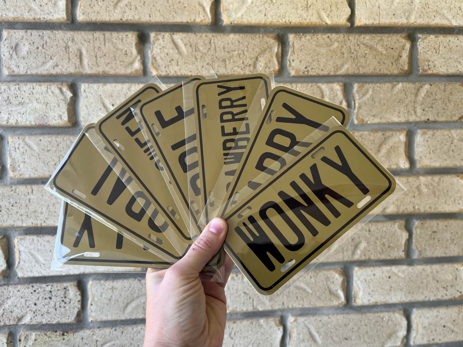 Hand holding multiple mini novelty license plates with custom names against a brick wall.