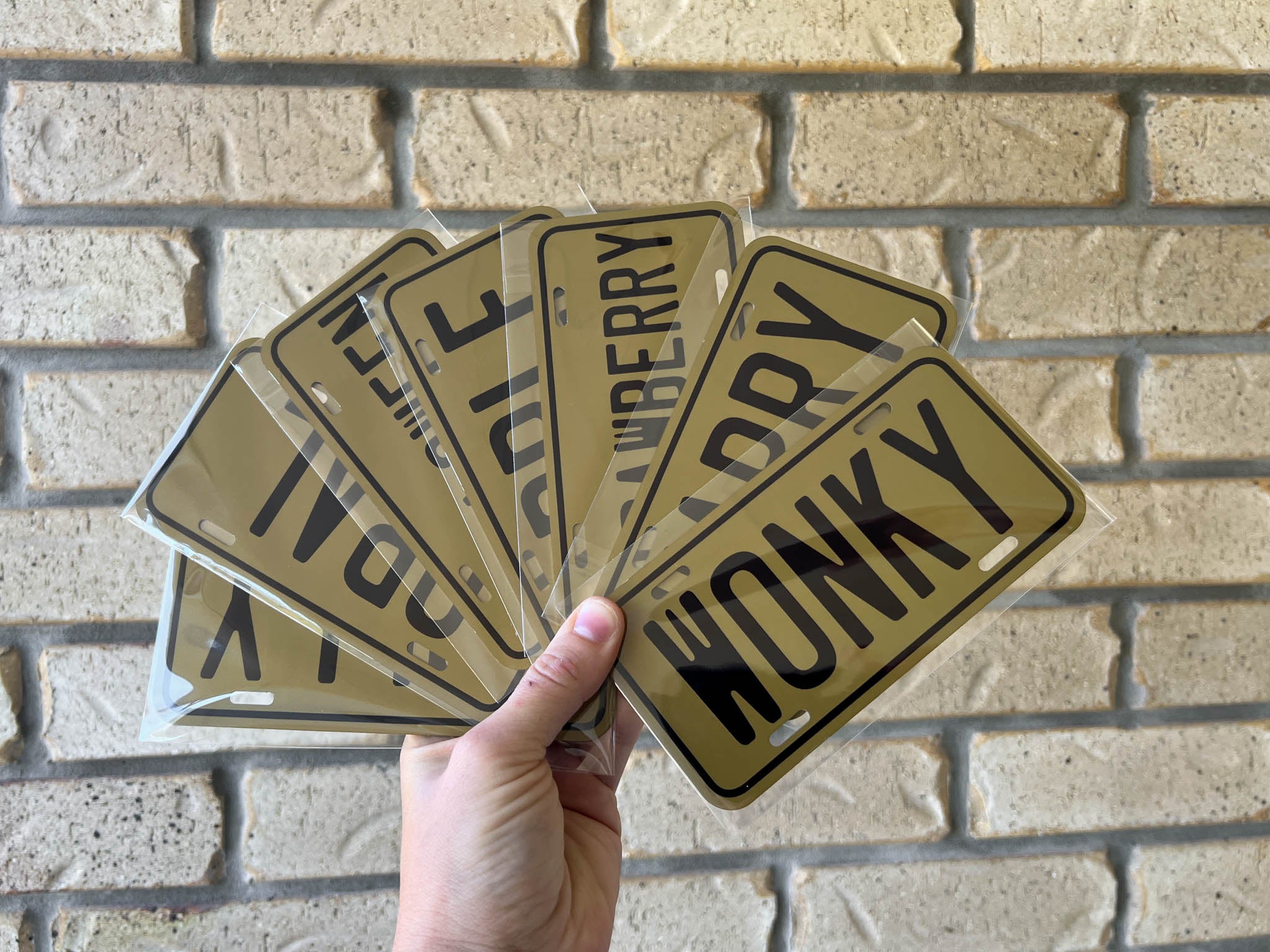 Hand holding multiple mini novelty license plates with custom names against a brick wall.