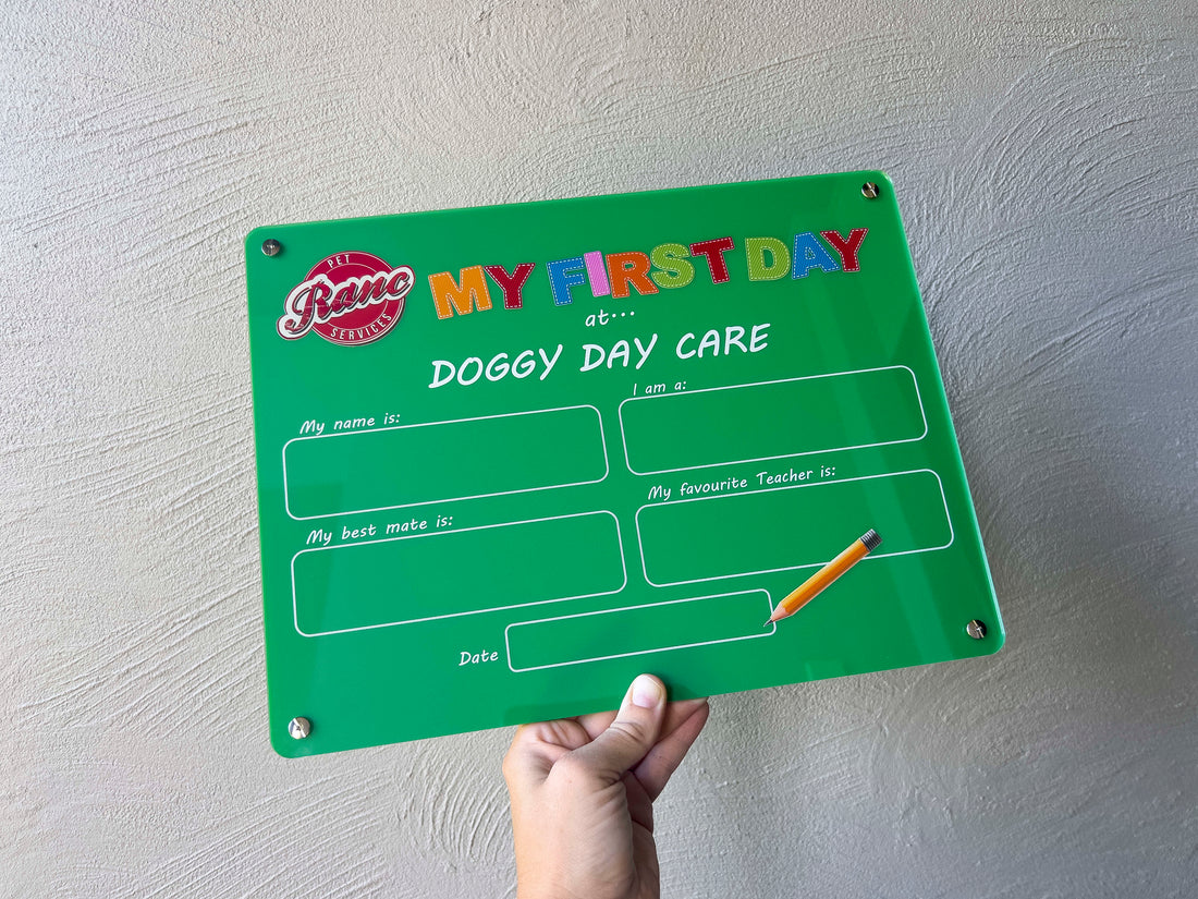Custom made green my first day doggy day care rewritable board.