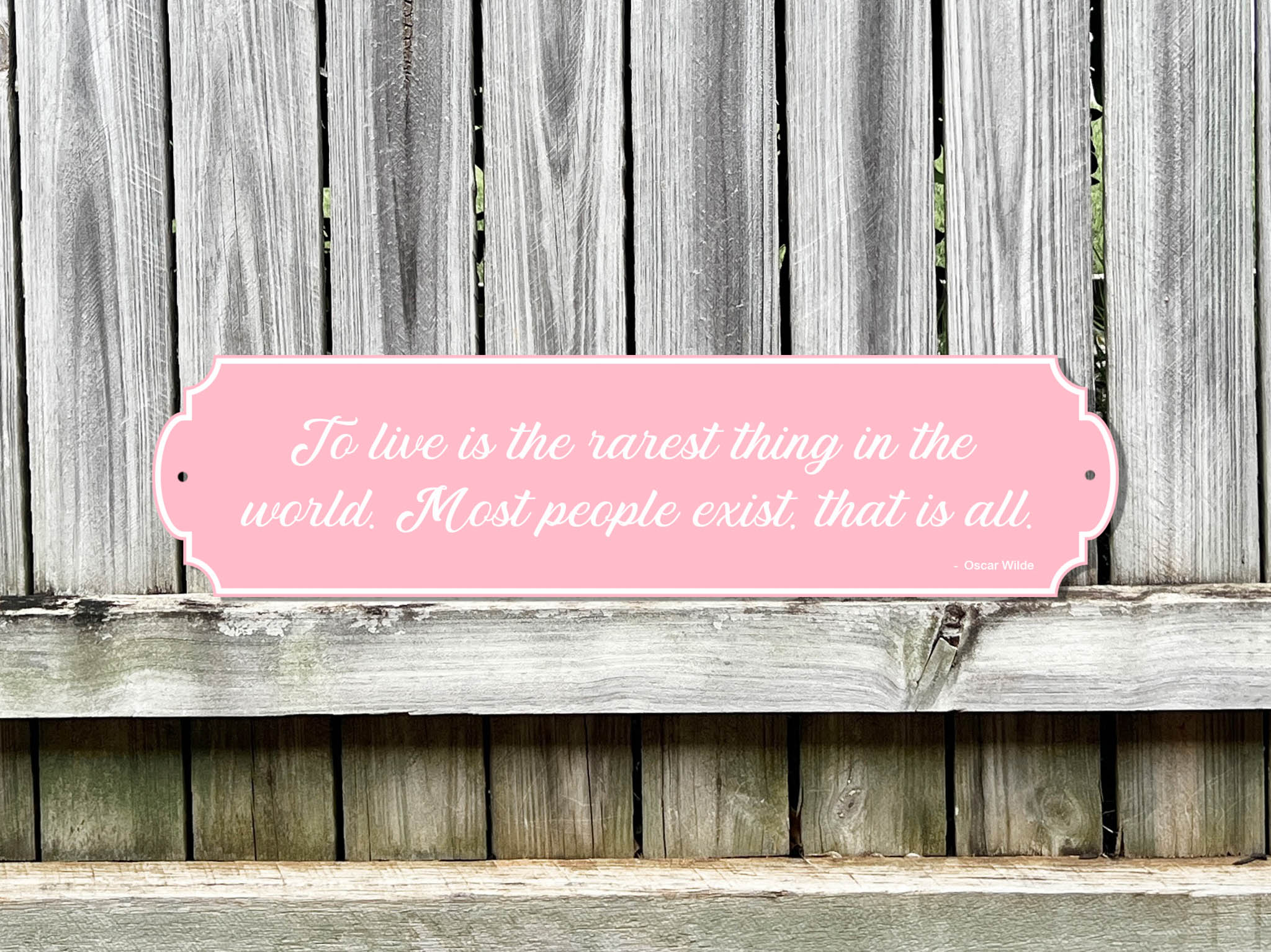 Custom quote sign in pink with white writing in an antique retro silhoutte shape and elegant cursive writing.