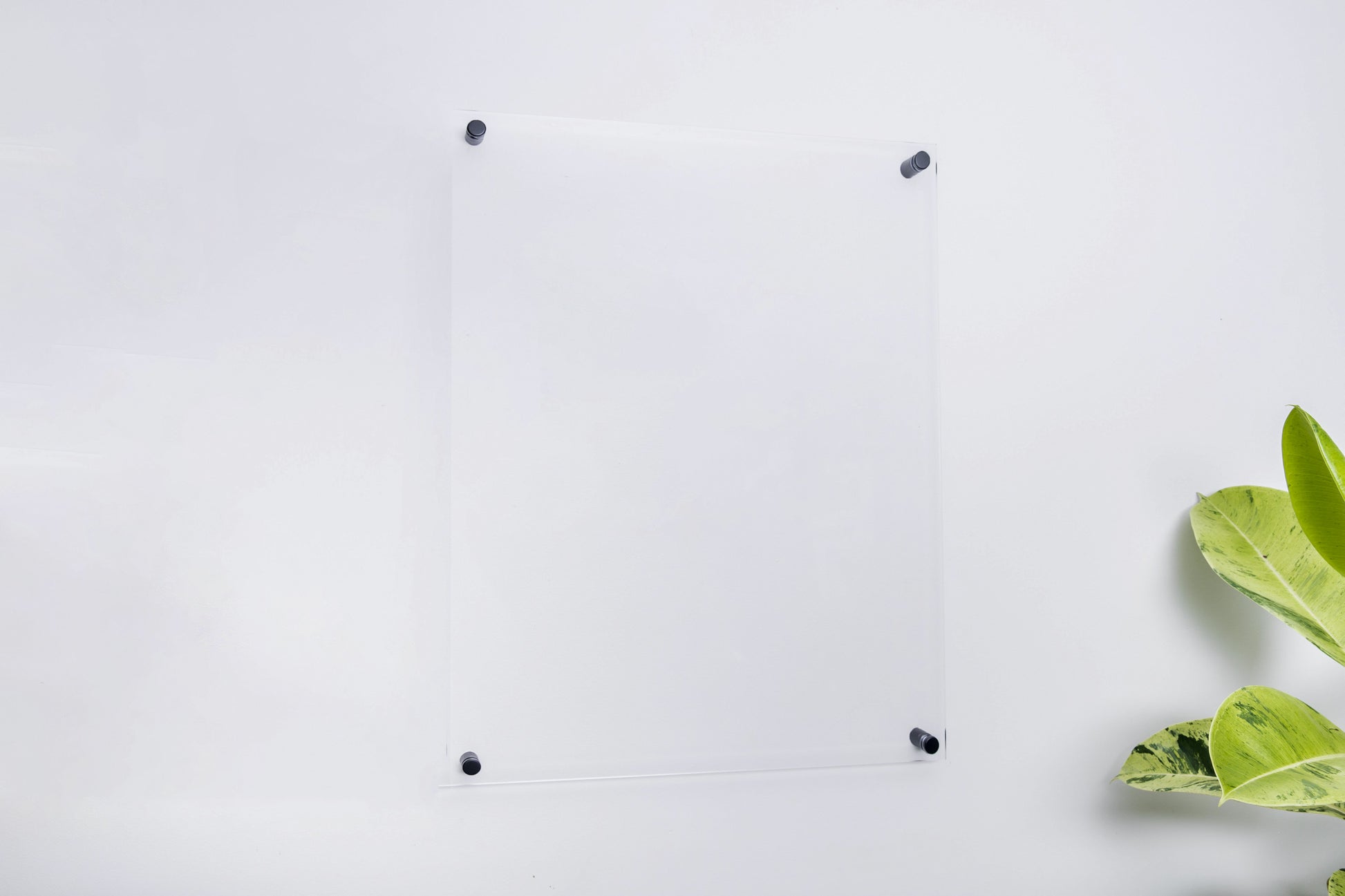 A blank clear acrylic wall planner mounted to a white wall with black wall mounts
